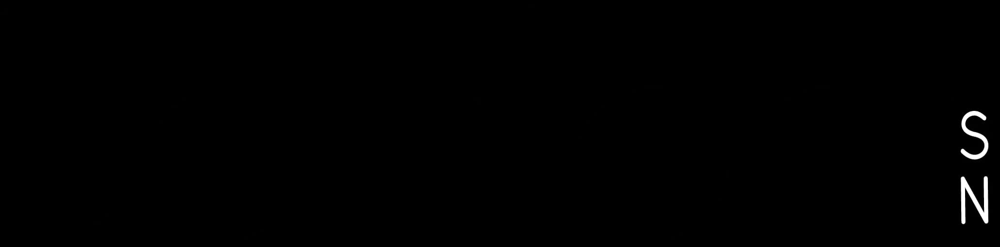 Logo Bonfoni
