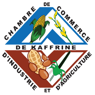 Logo CCIA Kaffrine