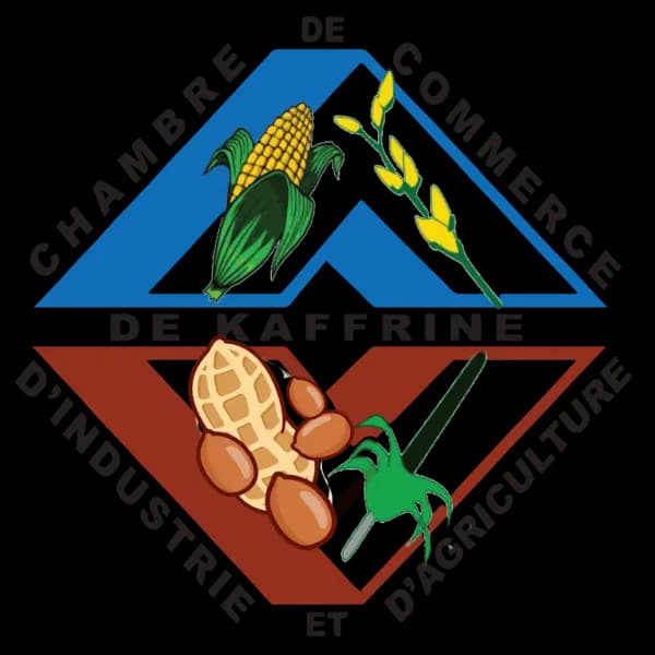 Logo CCIA Kaffrine
