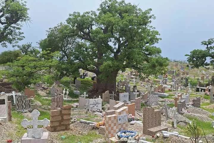 Le cimetière mixte de Fadiouth, tombes chrétiennes et musulmanes sur un sol de coquillages sous un baobab