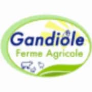 Logo Ferme Gandiole