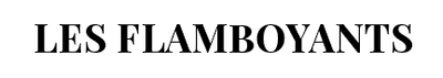 Logo Hôtel Les Flamboyants Saly
