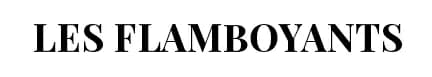 Logo Hôtel Les Flamboyants Saly