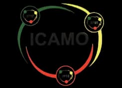 Logo ICAMO