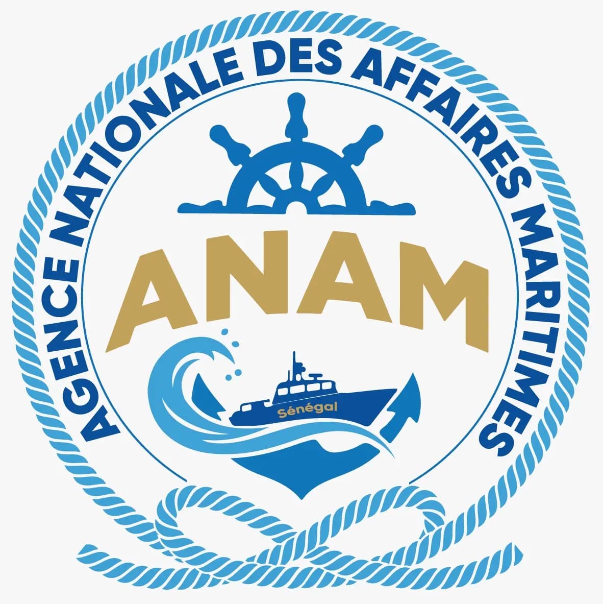 Logo ANAM