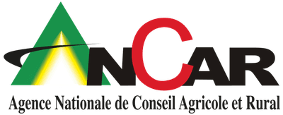Logo ANCAR
