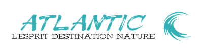 Logo Hôtel Atlantic Abéné