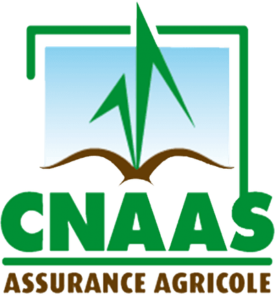 Logo CNAAS