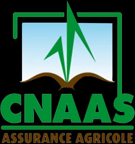 Logo CNAAS