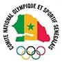 Logo CNOSS
