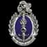 Logo Gendarmerie Nationale du Sénégal