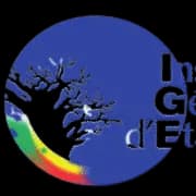 Logo Inspection Générale d'État