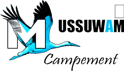Logo Campement Mussuwam