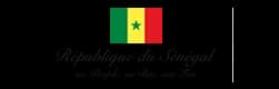 Logo Police Nationale du Sénégal