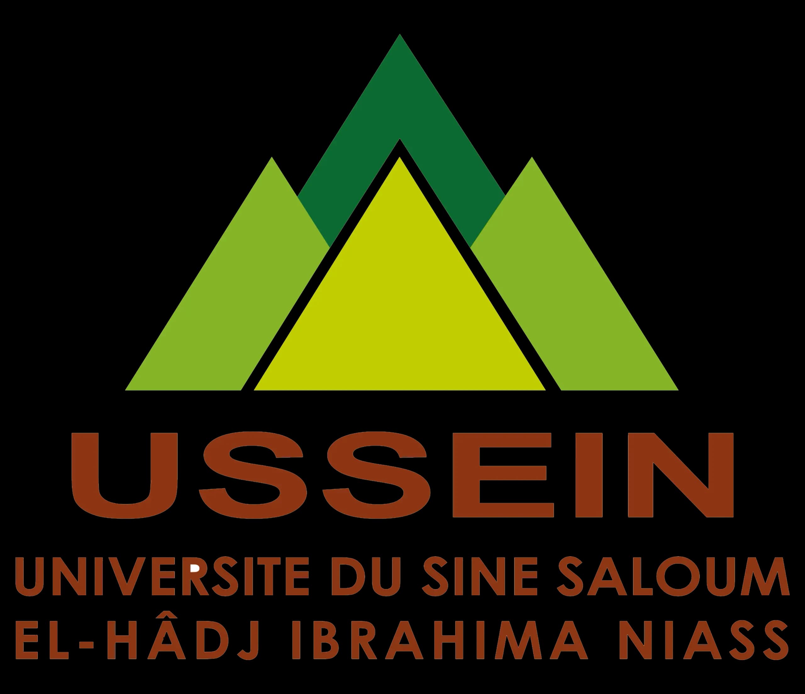 Logo USSEIN