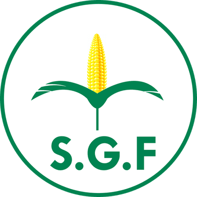 Logo SGF Transport & Logistics