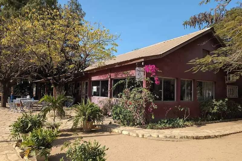 Terrasse ombragée d'un bar-restaurant de Dakar, devant un bâtiment bordeaux fleuri de bougainvillées