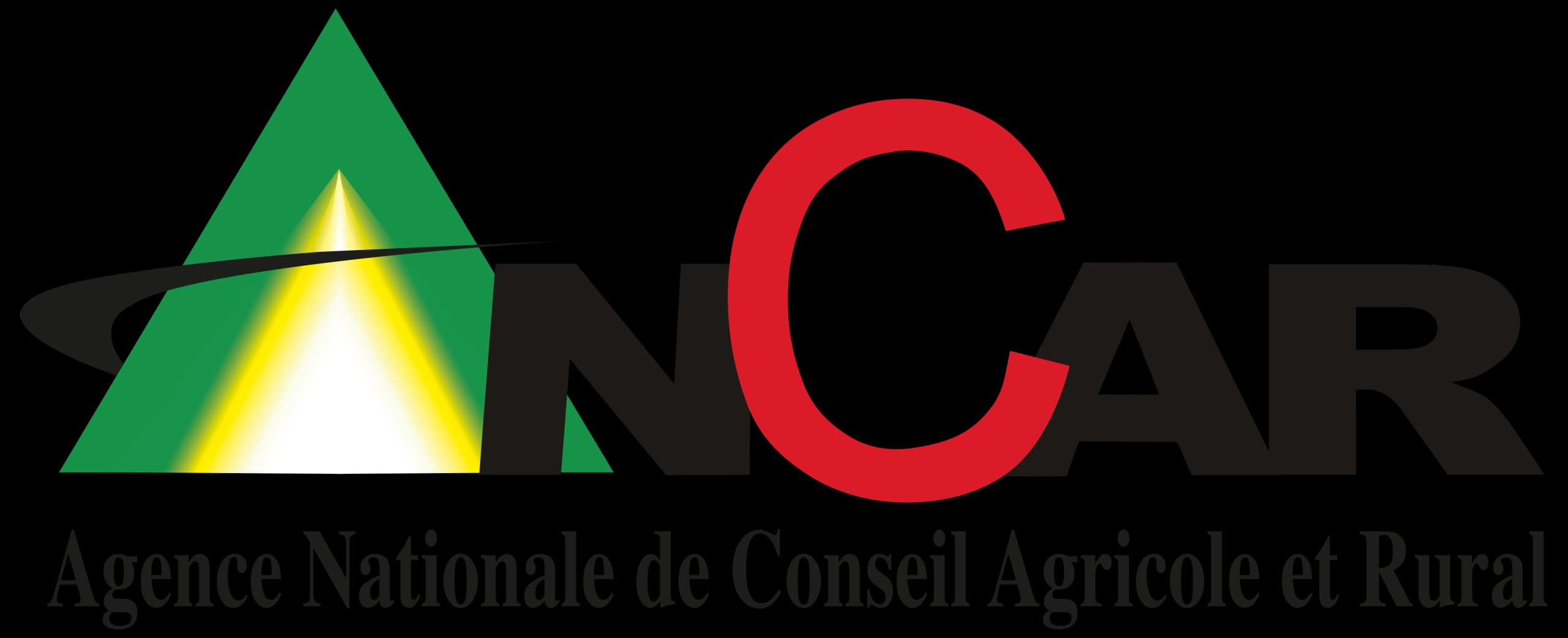 Logo ANCAR