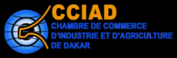 Logo CCIAD