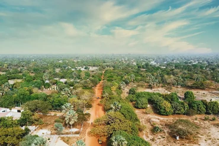 Vue aérienne d'une route de terre droite et d'un village entouré d'arbres